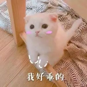 那些年你的压岁钱,是怎么被骗走的