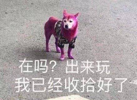 每日轻松一刻上班时间发朋友圈,该不该罚