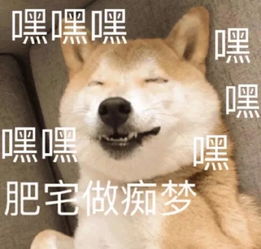 斗图表情包不斗图不快乐
