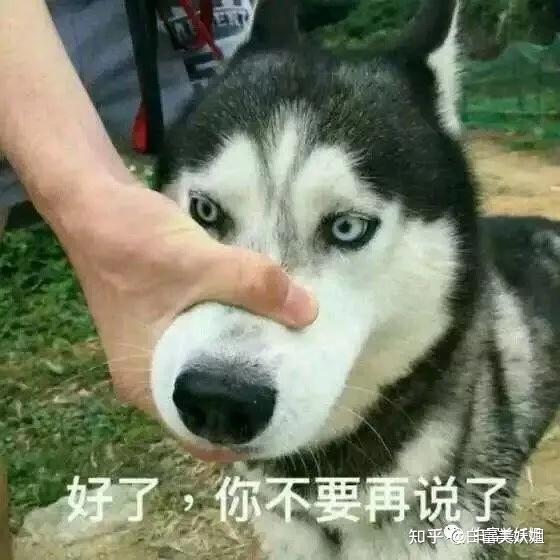 doge表情包微博高富帅
