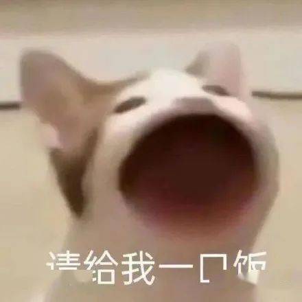三句话让塔粉为塔学会这篇民大安全手册