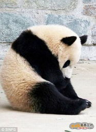 不在沉默中变态,就在寂寞中装乖