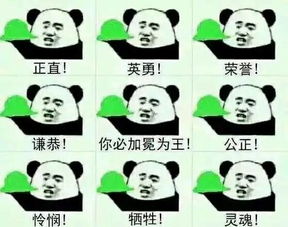 新资料片全服开启,这次轮到我做主角了