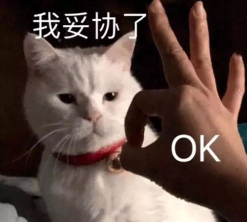 孩子高一,跟家长说话一句就烦,跟青春期的孩子较劲,越管越反