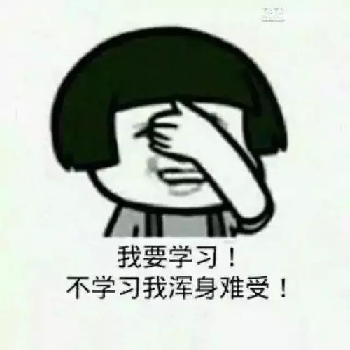 100万买套房瑞安大叔大妈杀到杭州湾平时买菜都货比三家,买房子却麻利