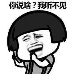 你说什么风太大听不清