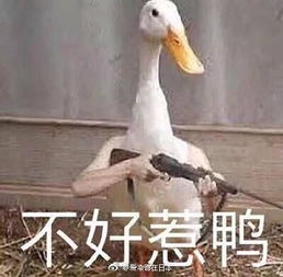 生气表情包滚开
