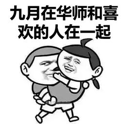 复习累了困了看什么来一波华师专属表情包