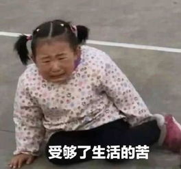 一组很黄很暴力的表情包骚年,过来问一下大自然的味道