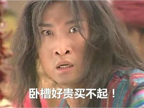 今年上半年最后一天哈士奇吸毒吸懵了