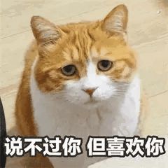 好玩的斗图表情包