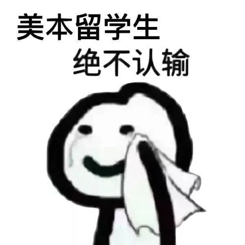 留学,俗称家庭主妇模拟器