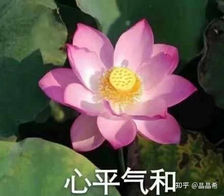如何看待这就是街舞第4季工作人员何某发表不当言论后被辞退