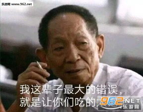 袁隆平表情包你tm吃饱了没事干我这辈子最大的错误就是让你们吃的太饱了表情包下载乐游网游戏下载