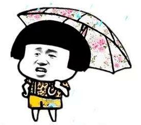 今早,台风鹦鹉己在这里登陆云浮的天气是