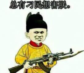 起来吧朕的籽岷表情包有刺客