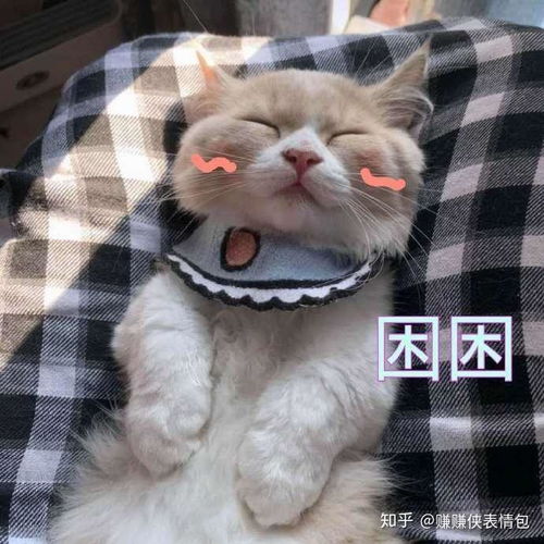 搞笑表情包图片经典必备,笑死我了,哈哈哈哈