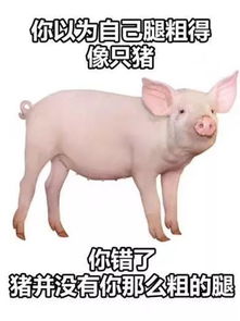 胖奶茶人表情包猪猪