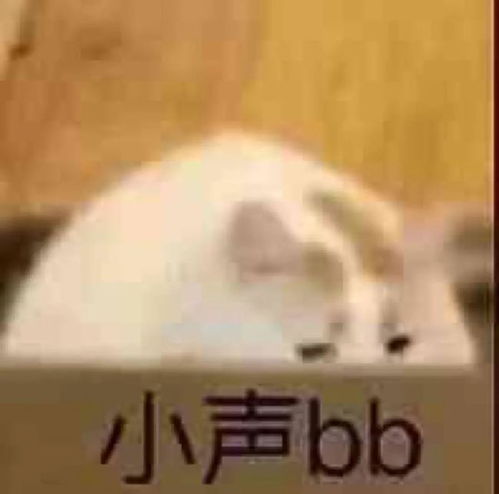 我用这玩意儿追女孩,稳得一批