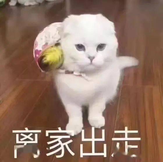 乐山两名女孩冬夜离家出走,被找到时