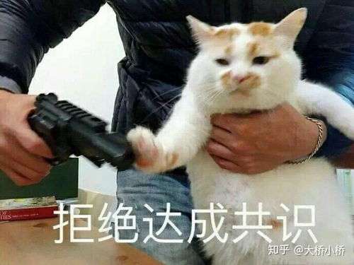 红豆薏米茶真的可以减肥吗