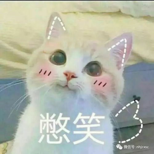 小埋表情包视频中秋节