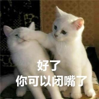 搞笑猫猫表情包又在秀了啊围观群众