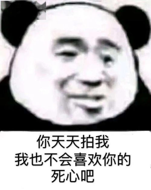 希望拍我的人没事