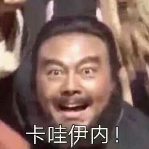阅读