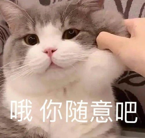 乖巧懂事