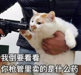 轮到海航了金融大鳄出没的时代,要结束了
