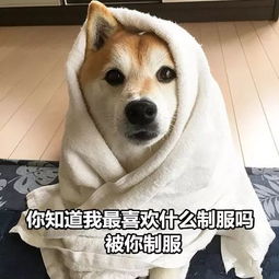哈哈哈哈女主播收到的奇葩七夕礼物,看完我想打爆对方的狗头
