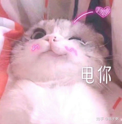 天朝配音圈有那些甜鼾cp