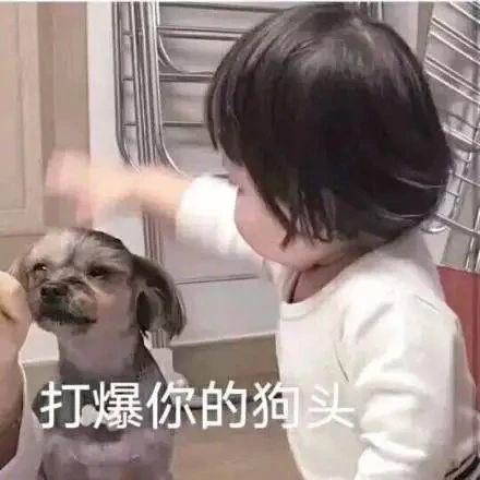 最新表情包图片心如止水,学会放空自我