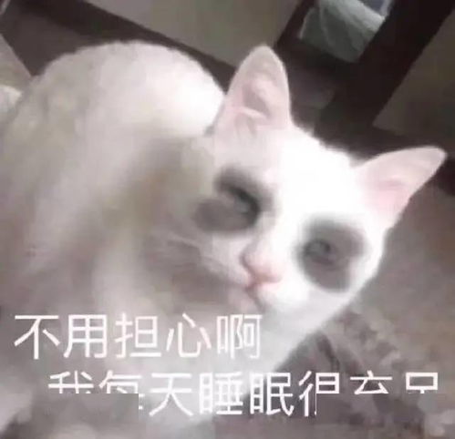 可爱猫猫表情包为了生活,居然沦落至此...