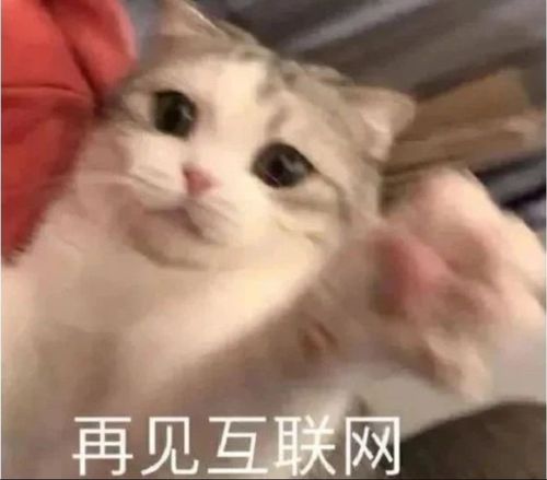 我也想发朋友圈,可是