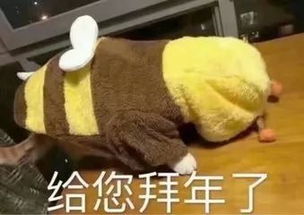 学会这几招,今天还怕要不到红包