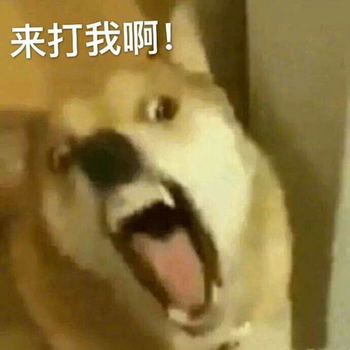 抽烟的女生是什么样的女生