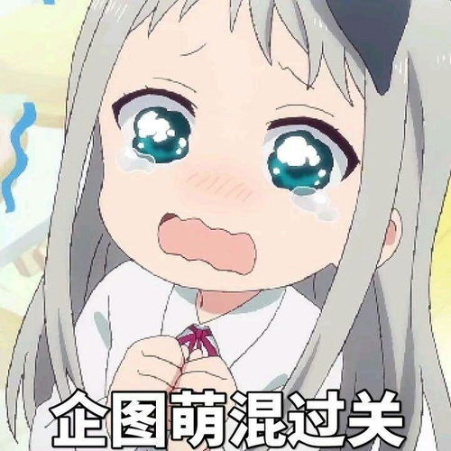 寻缘三生终无踪能不能补全
