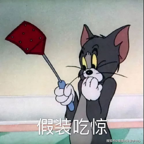 红蓝cp相爱相杀看usc与ucla两所高校的全方位battle