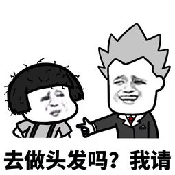 表情丨你不理我的时候,我总感觉你在做头发