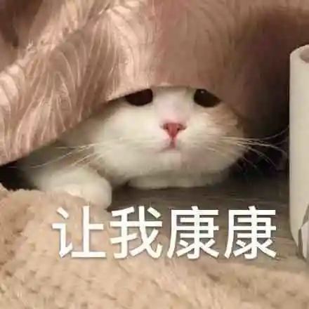 8.29表情包晚上早点回来外面女流氓可多了