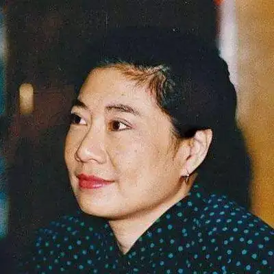 流金岁月热播,盘点亦舒原著小说中的30个精彩句子