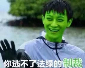 嗨起来表情包黄子韬