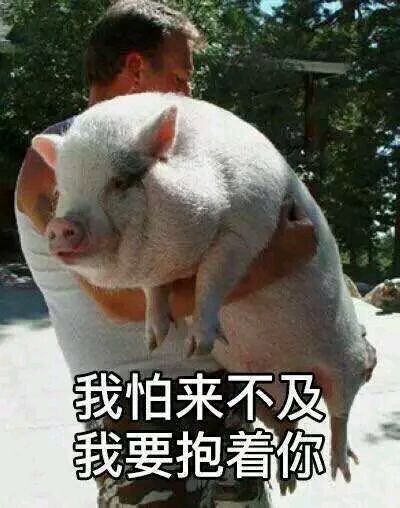 大家都胖了多少斤了