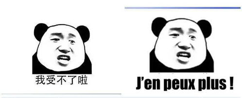 聊天尬住不如回复一个法语表情包