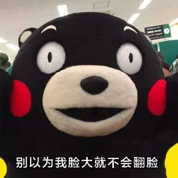 虽然我是个老实人,但我也不是好欺负的熊本熊斗图表情包搞笑图片