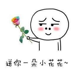 给花花的表情包送你一朵花