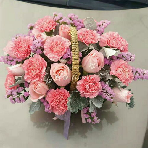全国同城鲜花速递康乃馨玫瑰手提花篮26朵探望祝福送病人长辈朋友