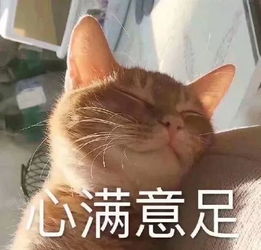 有了它,我再也不用买奶茶啦